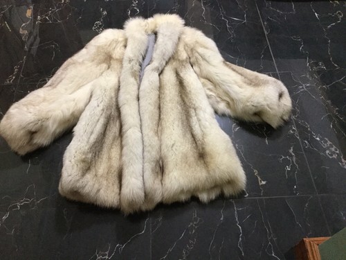 Pelliccia volpe artica - volpe,