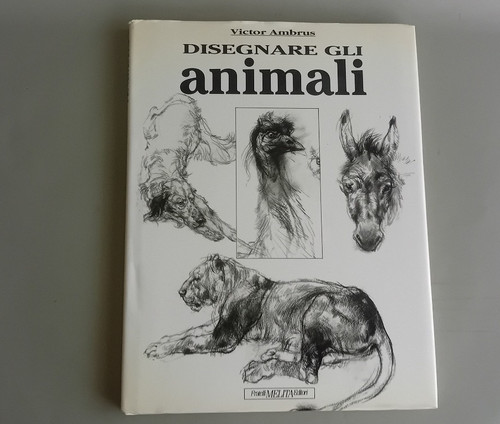 Disegnare gli animali - disegnare,
