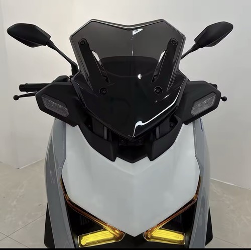 Schermo sport cupolino fume - schermo,