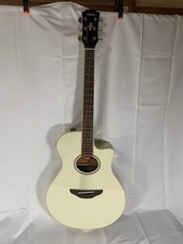 Chitarra acustica elettrica