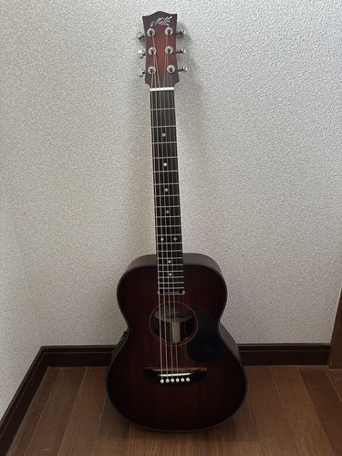 Chitarra elettrica acustica