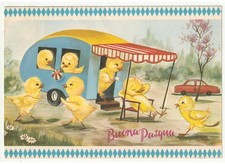 1970 pulcini vestiti