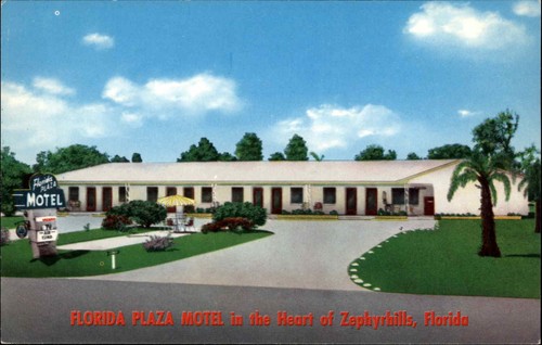 Zephyrhills florida - zephyrhills,