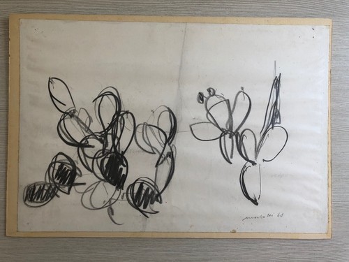 Ennio morlotti 1963 cactus - -,