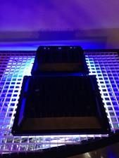 Acquario Reef 2X Luce LED