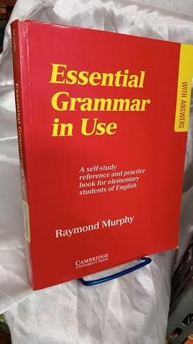 Essential grammar use - essential, in