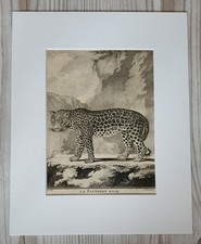 1767 litografia stampa