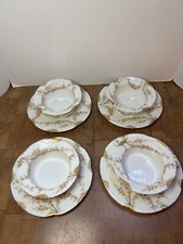 Theodore Haviland Limoges