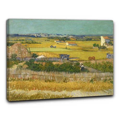 Niik quadro vendemmia di - niik, la