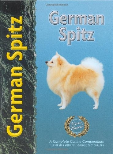German spitz juliette - german, by