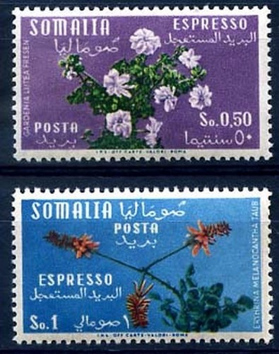 Somalia afis 1955 fiori - afis,