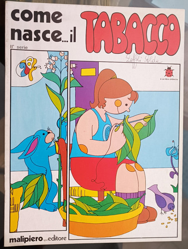 Come nasce tabacco - come,