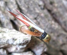 Mosche Gilchrist. 3 ninfe testa d'oro PRINCE. Misure a scelta.