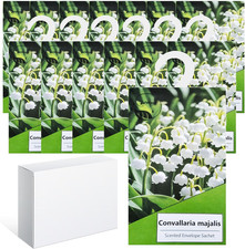 14Pcs Profuma Armadio Vestiti