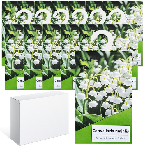 14pcs profuma armadio vestiti - 14pcs,