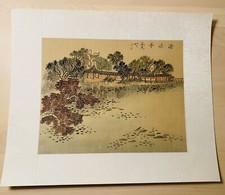 ****Paesaggio artistico cinese