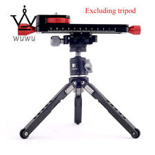 Diapositiva fotografica