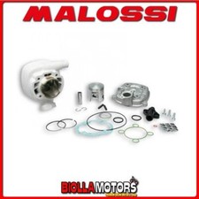 319477 GRUPPO TERMICO MALOSSI