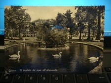 cartolina  1958 Genova laghetto dei cigni all'Acquasola annullo corsi formazione