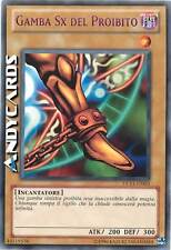 GAMBA SX DEL PROIBITO (Left Leg Of The Forbidden One) • Rara Viola • DL11 IT003