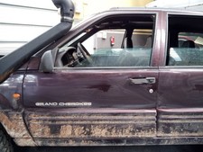 FRONT LEFT DOOR / 2503547 FOR