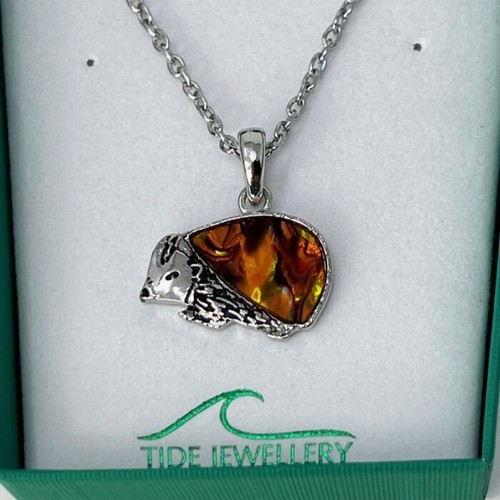 Collana conchiglia riccio paua