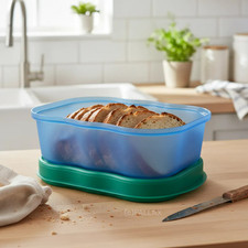 TUPPERWARE A51 GUARDIANO DELLE