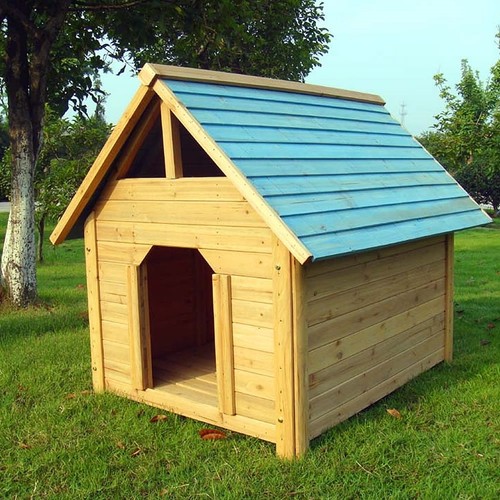 Cuccia per cani resistente - cuccia,