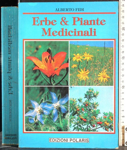 Erbe piante medicinali - erbe,