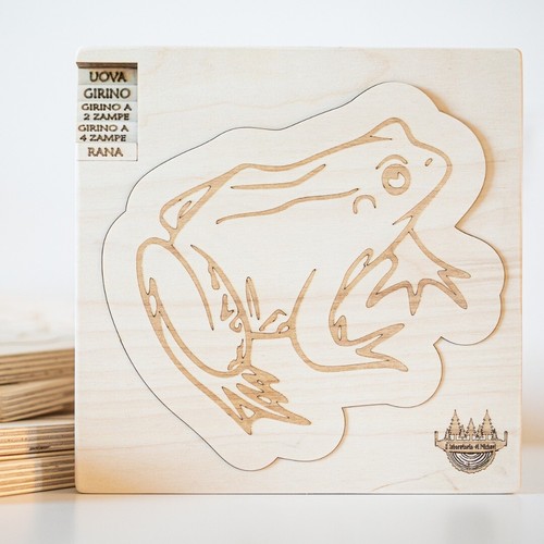 Ciclo vita della rana - ciclo,