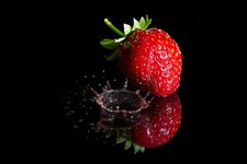 Fotografia stampata su tela