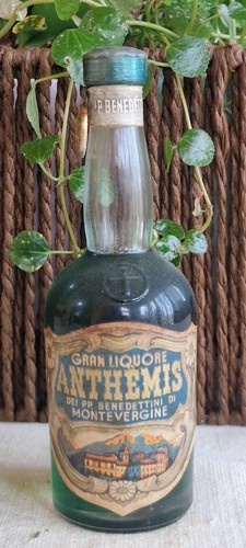 Mignon gran liquore anthemis - gran,