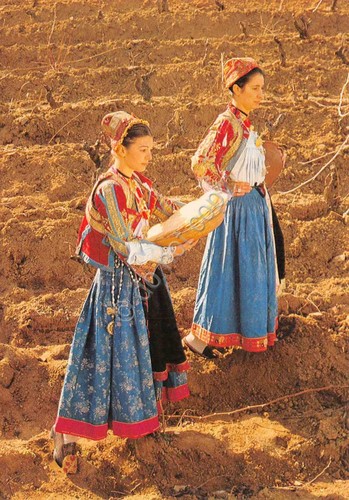 Cartolina costumi tradizionali - costumi,