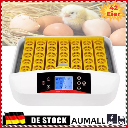 Incubatrice per uova 220 - , v