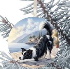 Border collie cane regalo - border,