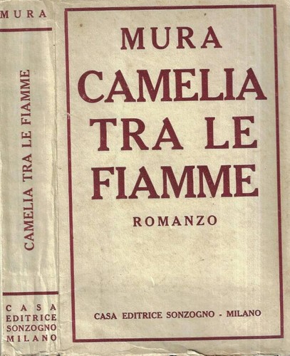 Camelia tra fiamme - fiamme., .