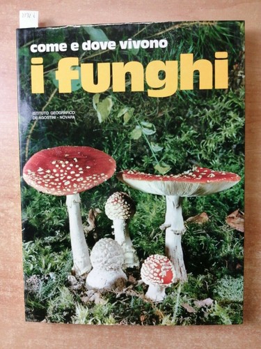 Come dove vivono funghi - dove,