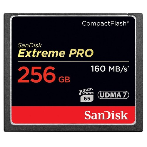 Scheda flash compatta sandisk - compatta,
