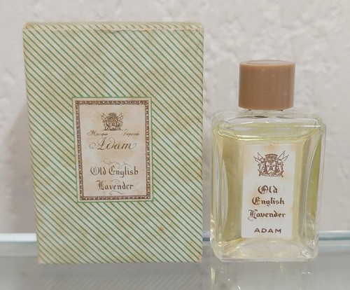 Old english lavender - old,