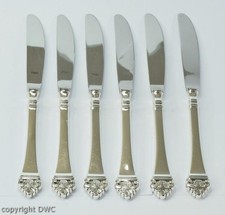 6 coltelli marca Robbe &