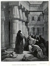 🟢 ANTICA STAMPA GUSTAVO