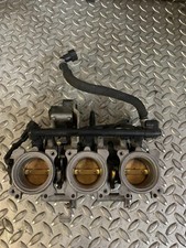 CORPO FARFALLATO COMPLETO