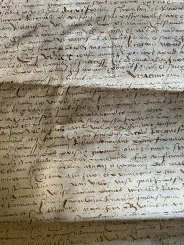 Pergamena manoscritto medio - manoscritto,
