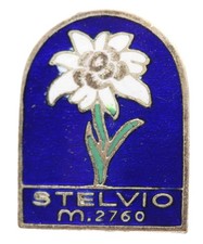 distintivo stelvio smaltato spilla passo alpini montagna stella alpina turismo