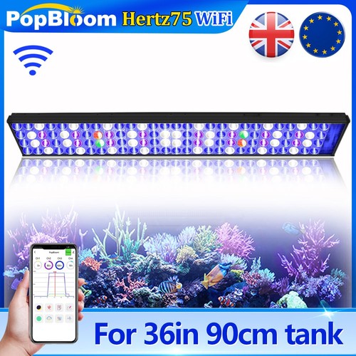 Popbloom dimmerabile acquario - popbloom,