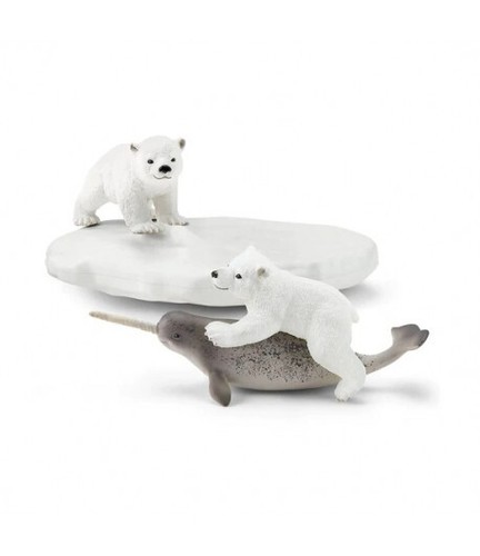 Cuccioli orso narvalo - di, e