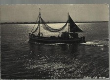 47912 vecchia cartolina saluti dal mare barca da pesca spedita da riccione  1956