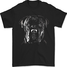 Cane Corso Head Shot Dog