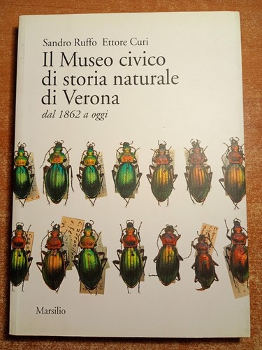 Sandro ruffo ettore curi - sandro, il