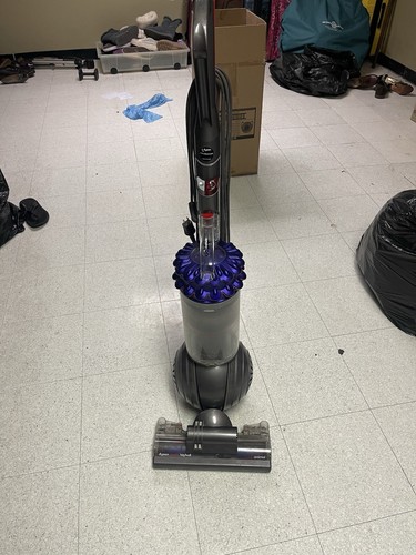 Dyson cinetic big - ,